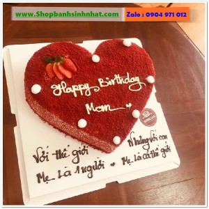 Bánh Sinh Nhật Tiramisu - T275